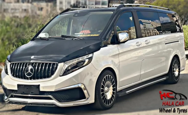 מונית גדולה מרצדס V-Class של הסעות השחף